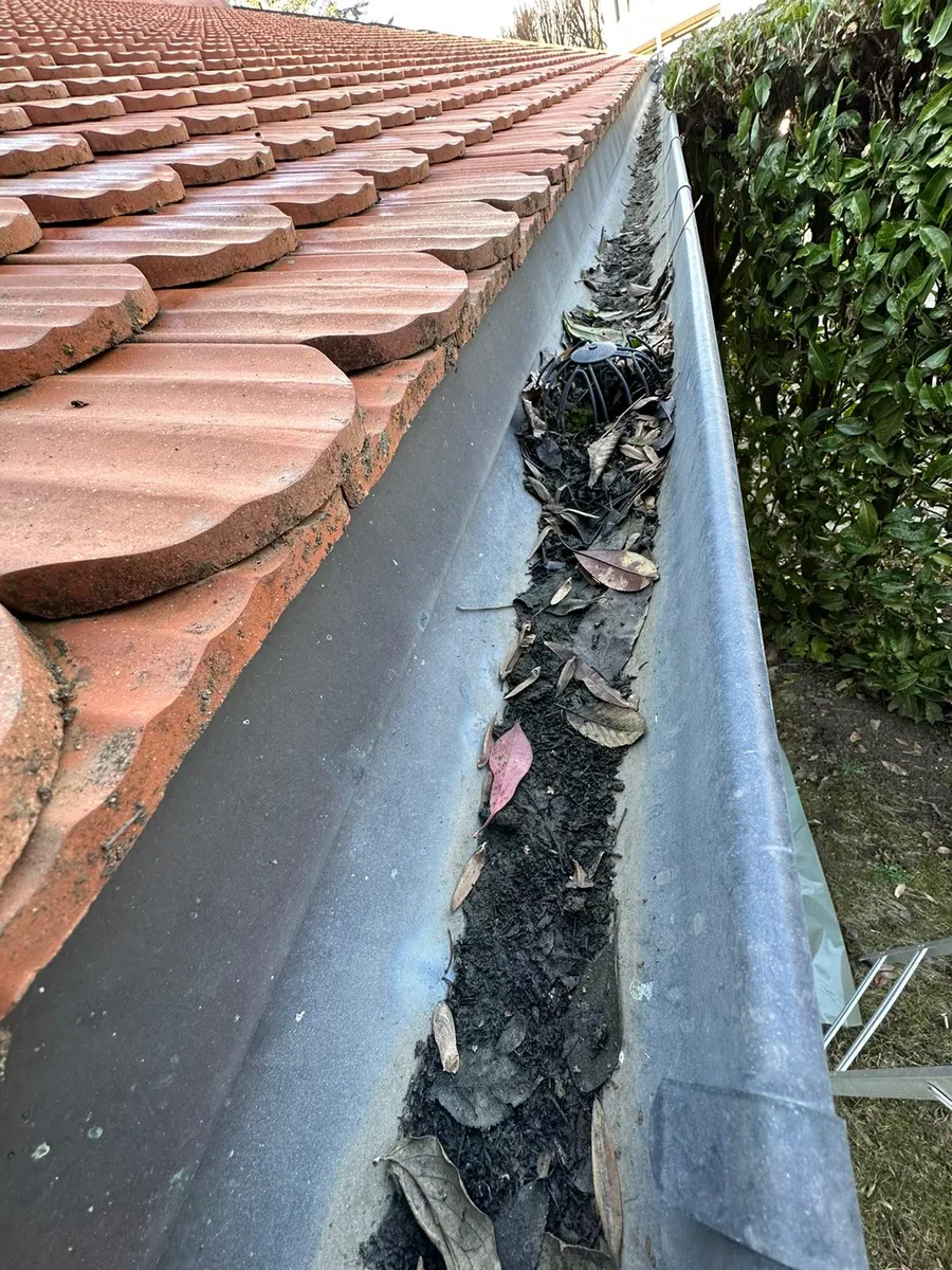 Gouttière obstruée avant nettoyage de toiture, Grandvaux