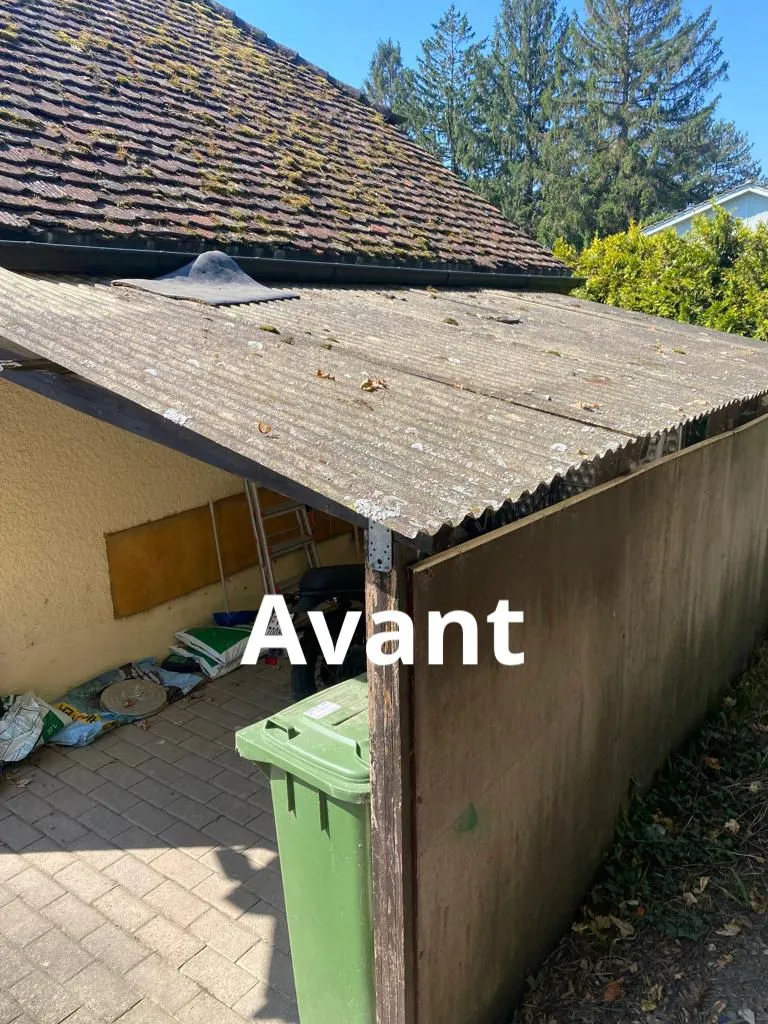 Rénovation toiture abri de jardin, Saint-Sulpice